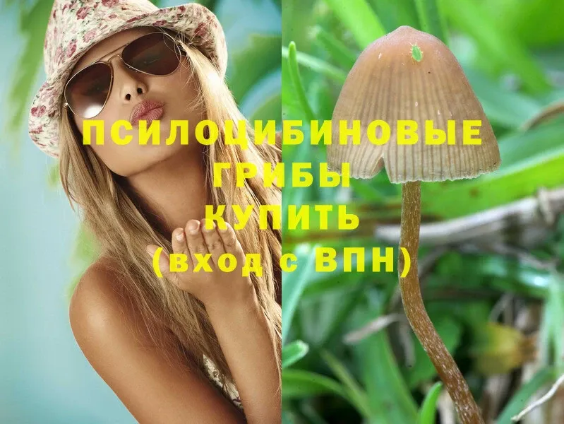 Псилоцибиновые грибы MAGIC MUSHROOMS  мориарти телеграм  Нерчинск 